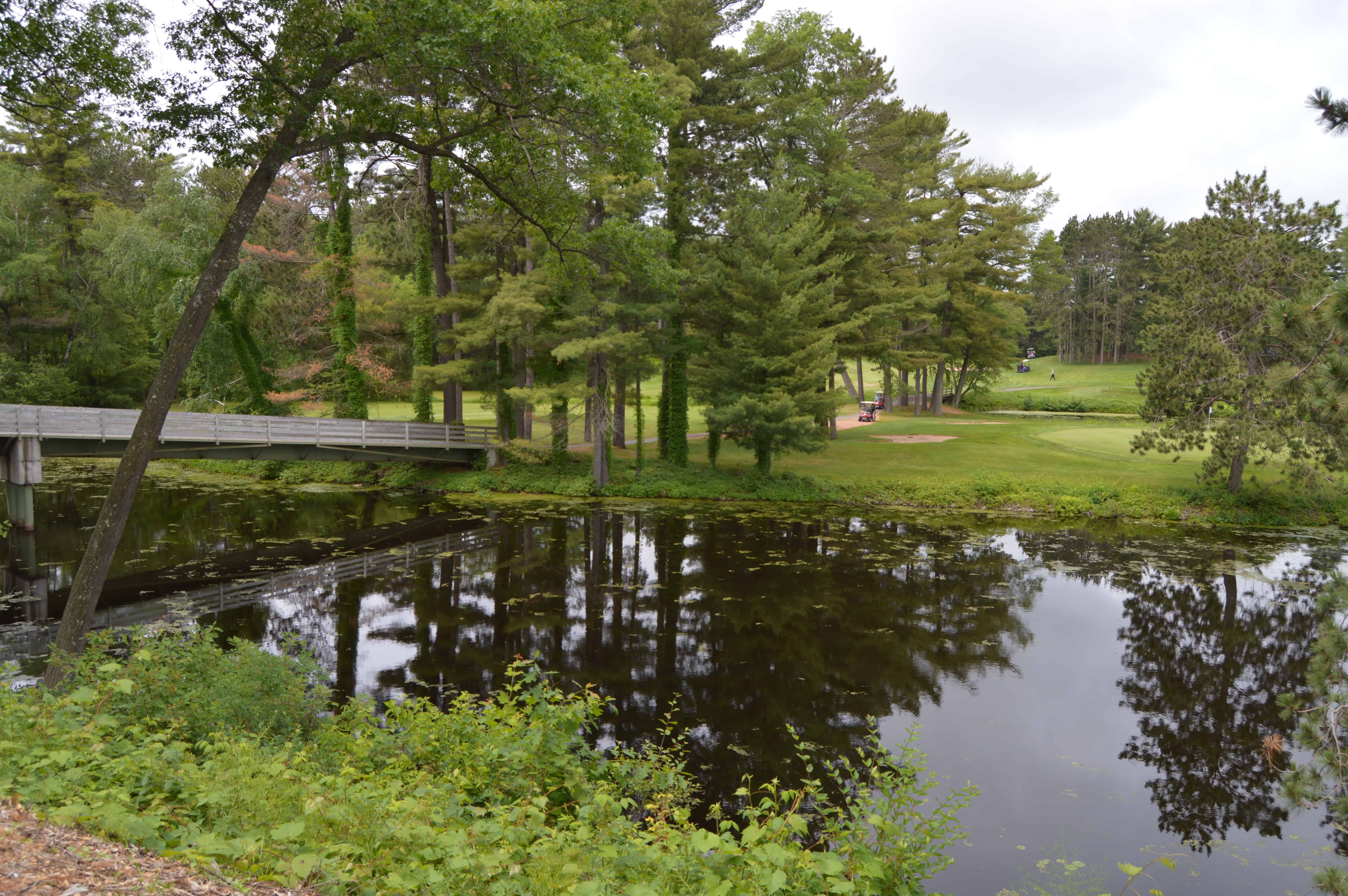 18+ Tribute Golf Course Wausau