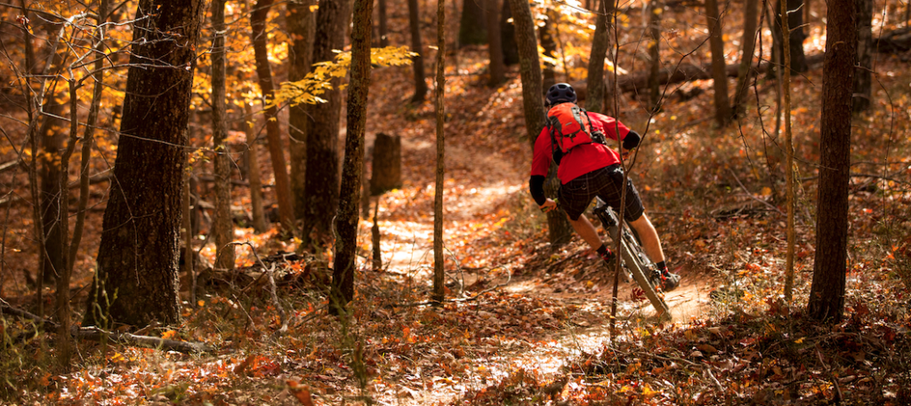 Mountain Biking - fall trail ride