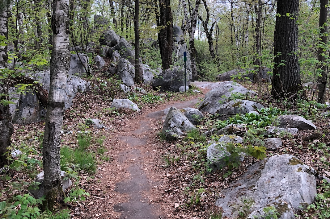 Rib Mountain State Park Trail