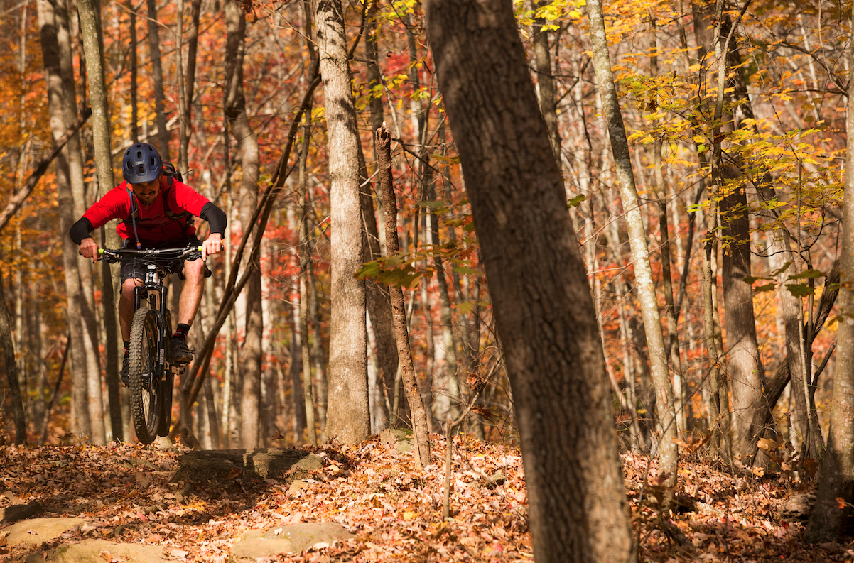 Mountain biking downhill in the fall